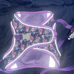 Vest harness for small dog